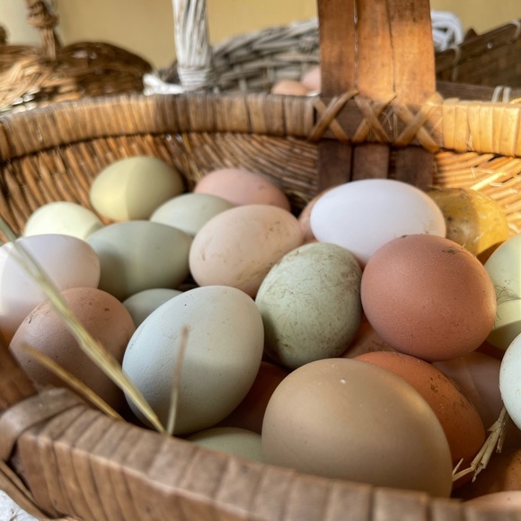 πBcB generation Moto leather Bootsπ - Picture 12 of 16